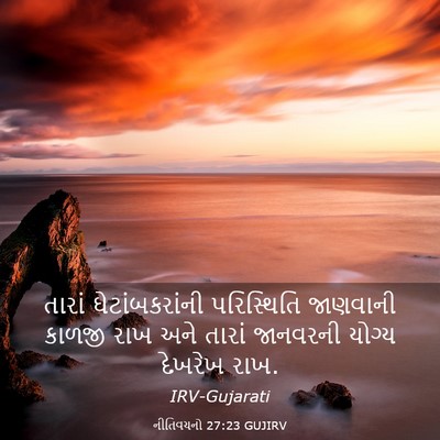 Picture 03 - નીતિવચનો 27:23 GUJIRV - તારાં - Bible Verse Picture