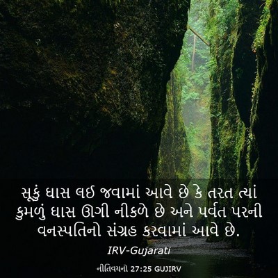 Picture 03 - નીતિવચનો 27:25 GUJIRV - સૂકું ઘાસ લઈ - Bible Verse Picture