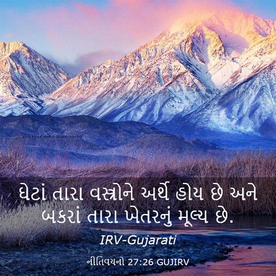 Picture 03 - નીતિવચનો 27:26 GUJIRV - ઘેટાં તારા - Bible Verse Picture