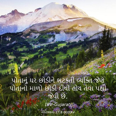 Picture 03 - નીતિવચનો 27:8 GUJIRV - પોતાનું ઘર છોડીને - Bible Verse Picture