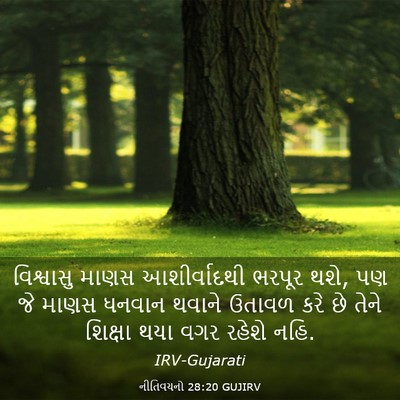 Picture 03 - નીતિવચનો 28:20 GUJIRV - વિશ્વાસુ માણસ - Bible Verse Picture