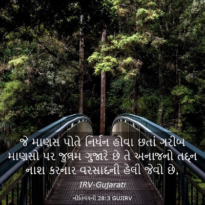Picture 03 - નીતિવચનો 28:3 GUJIRV - જે માણસ પોતે - Bible Verse Picture