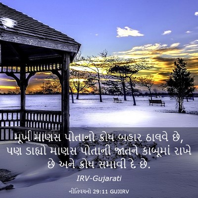 Picture 03 - નીતિવચનો 29:11 GUJIRV - મૂર્ખ માણસ પોતાનો - Bible Verse Picture