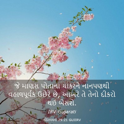 Picture 03 - નીતિવચનો 29:21 GUJIRV - જે માણસ પોતાના - Bible Verse Picture