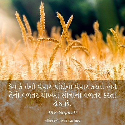 Picture 03 - નીતિવચનો 3:14 GUJIRV - કેમ કે તેનો વેપાર - Bible Verse Picture