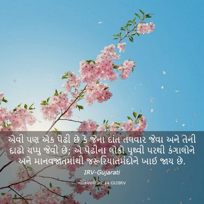 Picture 03 - નીતિવચનો 30:14 GUJIRV - એવી પણ એક પેઢી છે - Bible Verse Picture