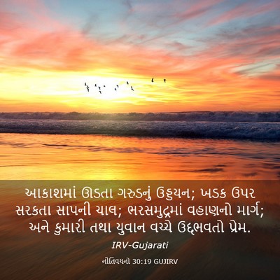 Picture 03 - નીતિવચનો 30:19 GUJIRV - આકાશમાં ઊડતા - Bible Verse Picture