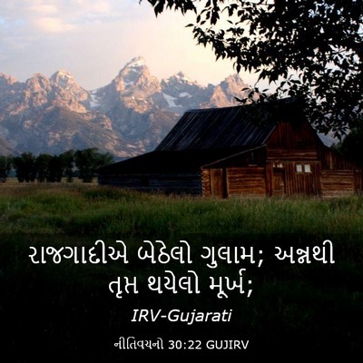 Picture 03 - નીતિવચનો 30:22 GUJIRV - રાજગાદીએ બેઠેલો - Bible Verse Picture