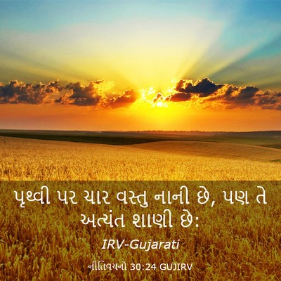 Picture 03 - નીતિવચનો 30:24 GUJIRV - પૃથ્વી પર ચાર - Bible Verse Picture