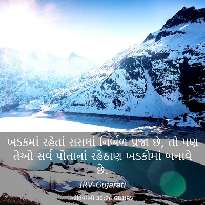Picture 03 - નીતિવચનો 30:26 GUJIRV - ખડકમાં રહેતાં - Bible Verse Picture
