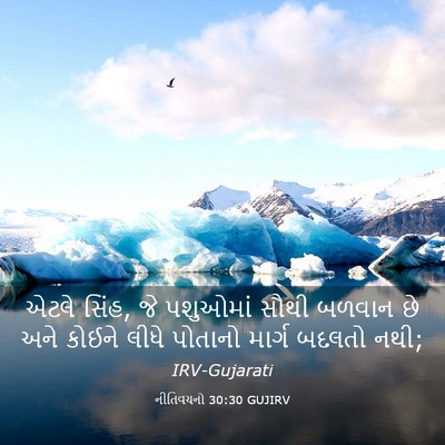Picture 03 - નીતિવચનો 30:30 GUJIRV - એટલે સિંહ, જે - Bible Verse Picture
