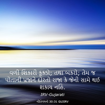 Picture 03 - નીતિવચનો 30:31 GUJIRV - વળી શિકારી કૂકડો; - Bible Verse Picture