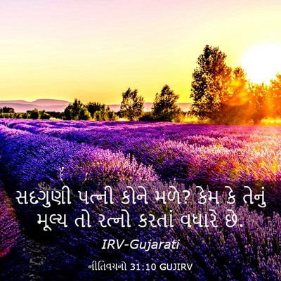 Picture 03 - નીતિવચનો 31:10 GUJIRV - સદગુણી પત્ની કોને - Bible Verse Picture