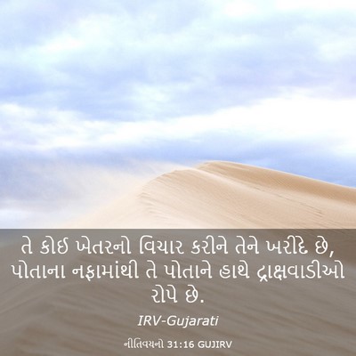 Picture 03 - નીતિવચનો 31:16 GUJIRV - તે કોઈ ખેતરનો - Bible Verse Picture