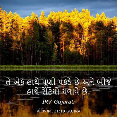 Picture 03 - નીતિવચનો 31:19 GUJIRV - તે એક હાથે પૂણી - Bible Verse Picture