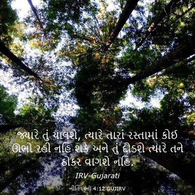 Picture 03 - નીતિવચનો 4:12 GUJIRV - જ્યારે તું ચાલશે, - Bible Verse Picture