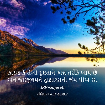Picture 03 - નીતિવચનો 4:17 GUJIRV - કારણ કે તેઓ - Bible Verse Picture