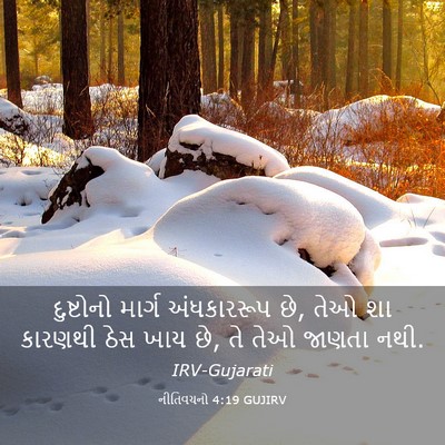 Picture 03 - નીતિવચનો 4:19 GUJIRV - દુષ્ટોનો માર્ગ - Bible Verse Picture