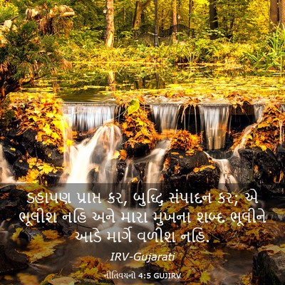Picture 03 - નીતિવચનો 4:5 GUJIRV - ડહાપણ પ્રાપ્ત કર, - Bible Verse Picture