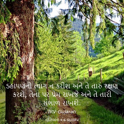 Picture 03 - નીતિવચનો 4:6 GUJIRV - ડહાપણનો ત્યાગ ન - Bible Verse Picture