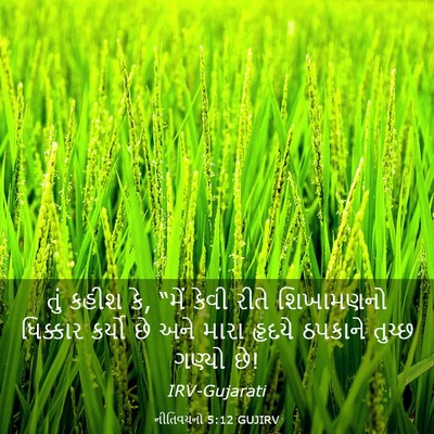 Picture 03 - નીતિવચનો 5:12 GUJIRV - તું કહીશ કે, “મેં - Bible Verse Picture