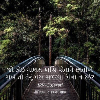 Picture 03 - નીતિવચનો 6:27 GUJIRV - જો કોઈ માણસ અગ્નિ - Bible Verse Picture