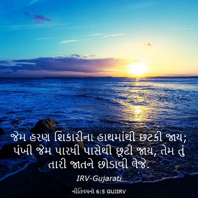 Picture 03 - નીતિવચનો 6:5 GUJIRV - જેમ હરણ શિકારીના - Bible Verse Picture