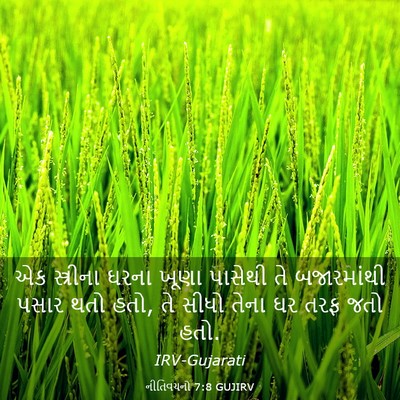 Picture 03 - નીતિવચનો 7:8 GUJIRV - એક સ્ત્રીના ઘરના - Bible Verse Picture