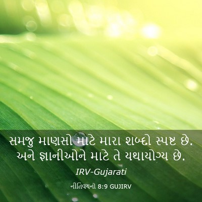 Picture 03 - નીતિવચનો 8:9 GUJIRV - સમજુ માણસો માટે - Bible Verse Picture