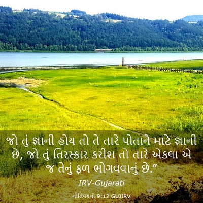 Picture 03 - નીતિવચનો 9:12 GUJIRV - જો તું જ્ઞાની હોય - Bible Verse Picture