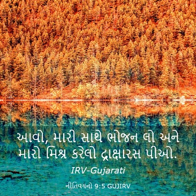 Picture 03 - નીતિવચનો 9:5 GUJIRV - આવો, મારી સાથે ભોજન - Bible Verse Picture