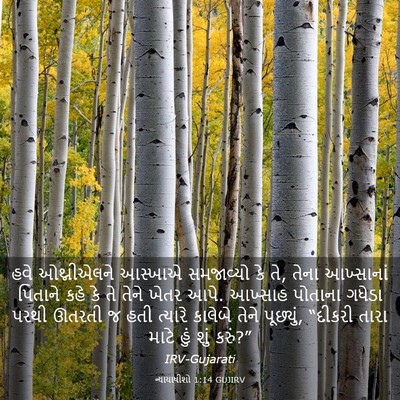 Picture 03 - ન્યાયાધીશો 1:14 GUJIRV - હવે ઓથ્નીએલને - Bible Verse Picture