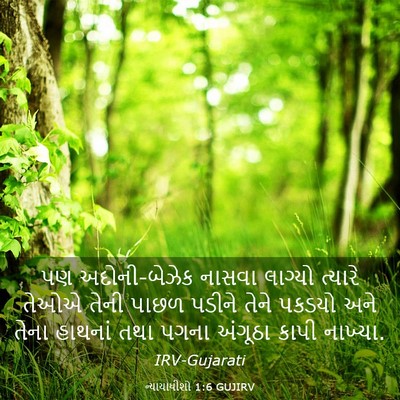 Picture 03 - ન્યાયાધીશો 1:6 GUJIRV - પણ અદોની-બેઝેક - Bible Verse Picture