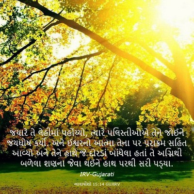 Picture 03 - ન્યાયાધીશો 15:14 GUJIRV - જયારે તે લેહીમાં - Bible Verse Picture