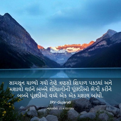 Picture 03 - ન્યાયાધીશો 15:4 GUJIRV - સામસૂન ચાલ્યો ગયો - Bible Verse Picture
