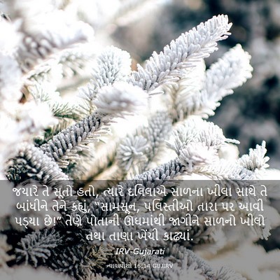 Picture 03 - ન્યાયાધીશો 16:14 GUJIRV - જયારે તે સૂતો હતો, - Bible Verse Picture
