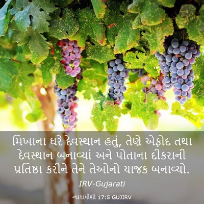 Picture 03 - ન્યાયાધીશો 17:5 GUJIRV - મિખાના ઘરે - Bible Verse Picture