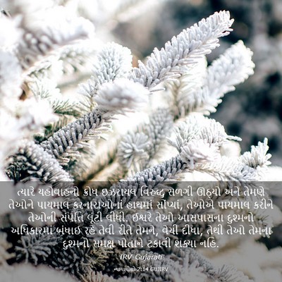 Picture 03 - ન્યાયાધીશો 2:14 GUJIRV - ત્યારે યહોવાહનો - Bible Verse Picture