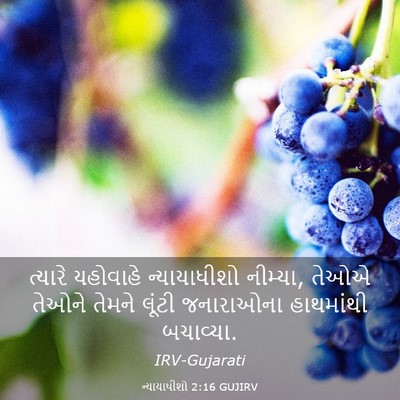 Picture 03 - ન્યાયાધીશો 2:16 GUJIRV - ત્યારે યહોવાહે - Bible Verse Picture