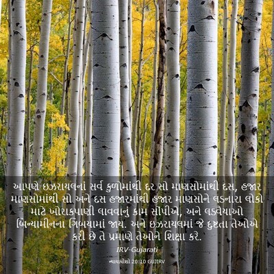 Picture 03 - ન્યાયાધીશો 20:10 GUJIRV - આપણે ઇઝરાયલનાં - Bible Verse Picture