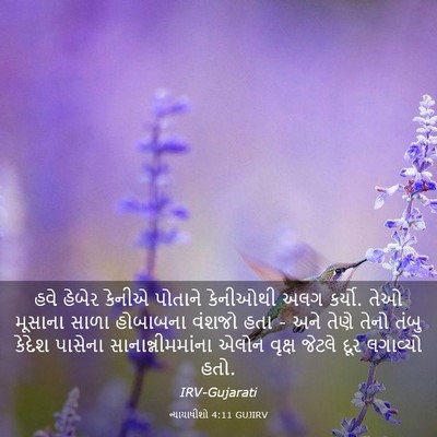 Picture 03 - ન્યાયાધીશો 4:11 GUJIRV - હવે હેબેર કેનીએ - Bible Verse Picture