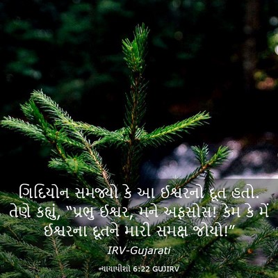 Picture 03 - ન્યાયાધીશો 6:22 GUJIRV - ગિદિયોન સમજ્યો કે - Bible Verse Picture