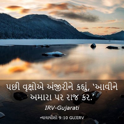 Picture 03 - ન્યાયાધીશો 9:10 GUJIRV - પછી વૃક્ષોએ - Bible Verse Picture