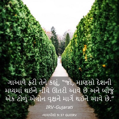 Picture 03 - ન્યાયાધીશો 9:37 GUJIRV - ગાઆલે ફરી તેને - Bible Verse Picture