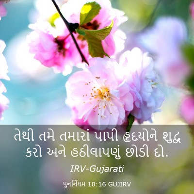 Picture 03 - પુનર્નિયમ 10:16 GUJIRV - તેથી તમે તમારાં - Bible Verse Picture
