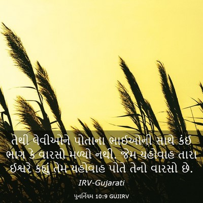 Picture 03 - પુનર્નિયમ 10:9 GUJIRV - તેથી લેવીઓને - Bible Verse Picture