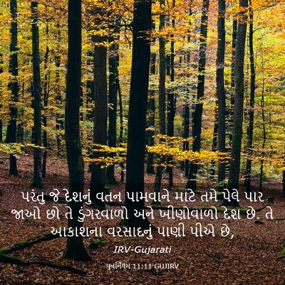 Picture 03 - પુનર્નિયમ 11:11 GUJIRV - પરંતુ જે દેશનું - Bible Verse Picture