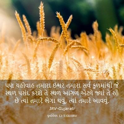 Picture 03 - પુનર્નિયમ 12:5 GUJIRV - પણ યહોવાહ તમારા - Bible Verse Picture