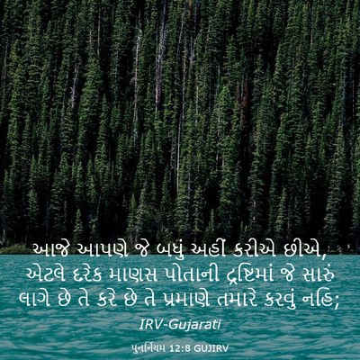 Picture 03 - પુનર્નિયમ 12:8 GUJIRV - આજે આપણે જે બધું - Bible Verse Picture
