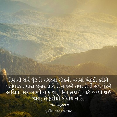 Picture 03 - પુનર્નિયમ 13:16 GUJIRV - તેમાંની સર્વ લૂંટ - Bible Verse Picture